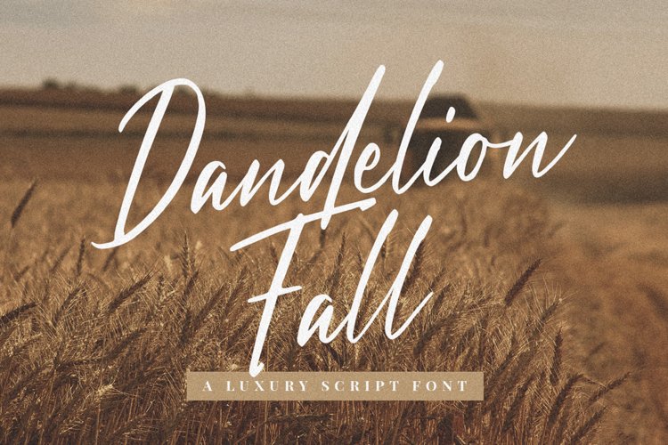 Dandelion Fall - Script Font example image 1