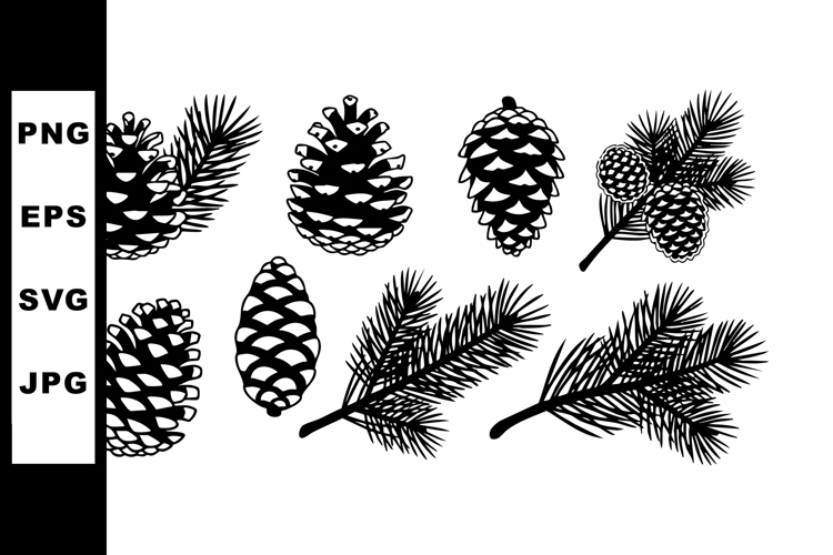 Pine cones and fir tree branches vector set with natural sha