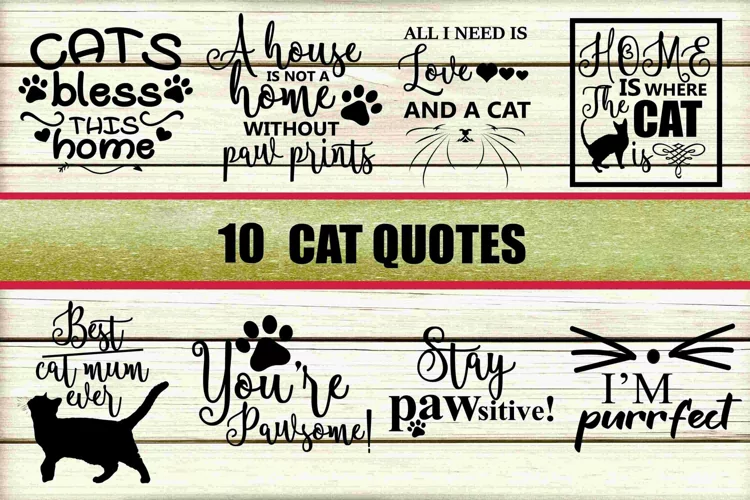Cat Quotes