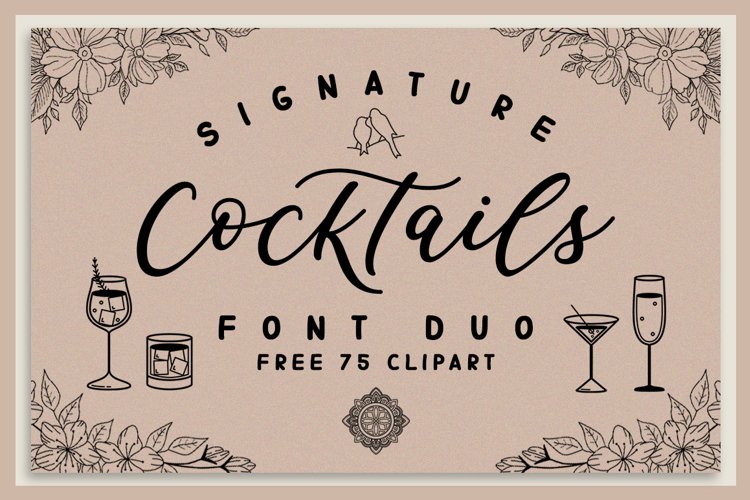 Signature Cocktails Font Duo example image 1