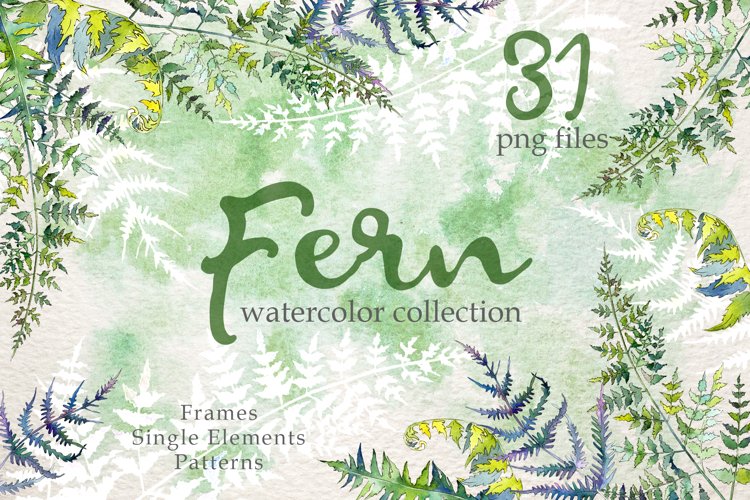 Fern Watercolor png