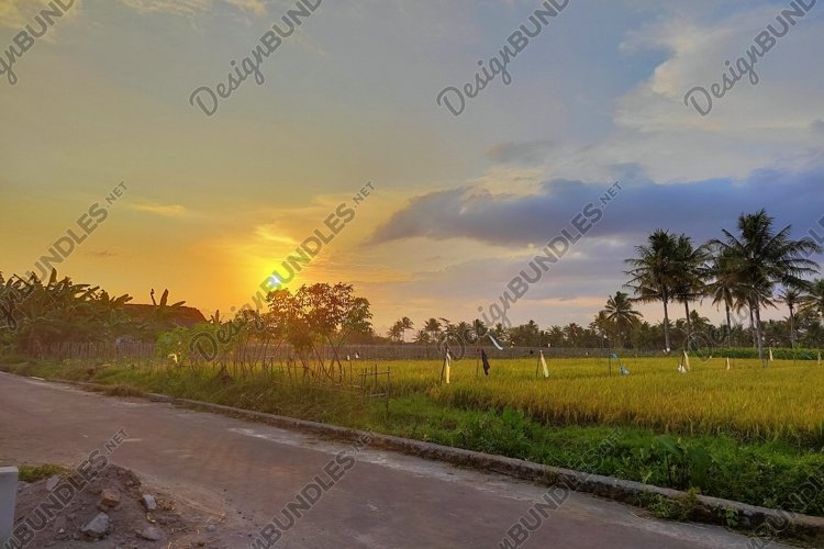 Green Grass Clipart Image 20