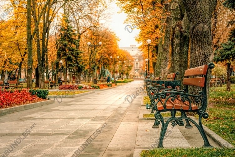 Gardening Clipart Image 7