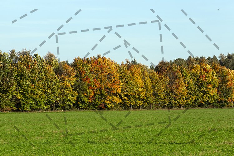 Weather Clipart Image 19