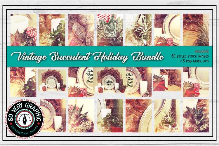 20 Holiday Succulent Vintage Photos & Mock Up Bundle example image 1