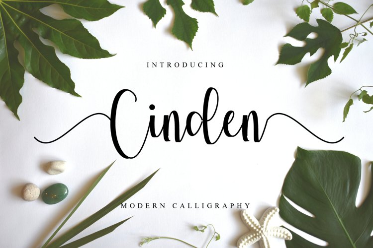 Cinden example image 1