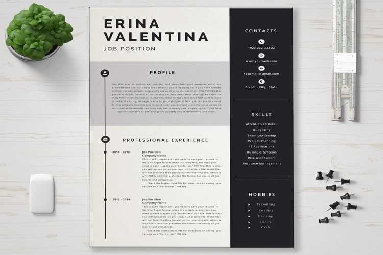 Resume Template example image 1
