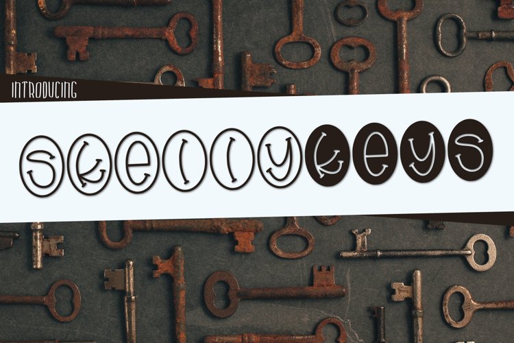 Skelly Keys a fun Oval Font example image 1