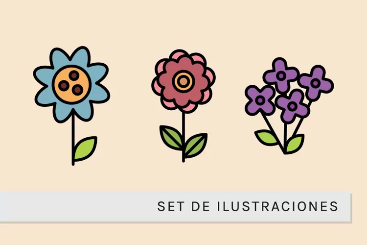 Flores Delineadas