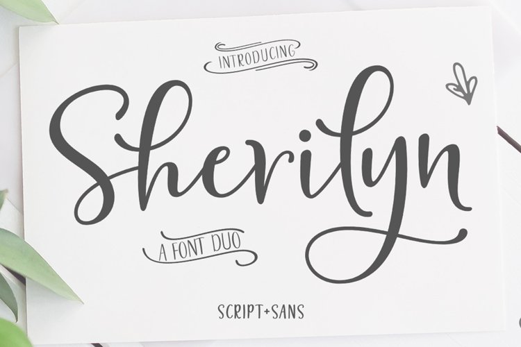 Font Collection Bundle