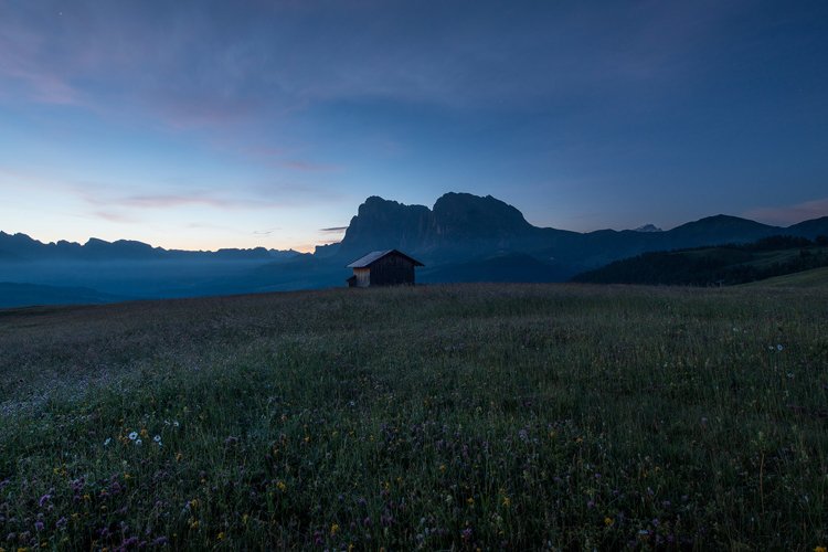 Flowers and cottages at Alpe di Siusi at sundown example image 1