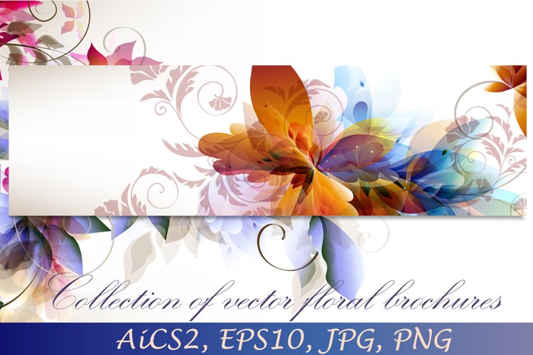 Ornament Vector Image 20