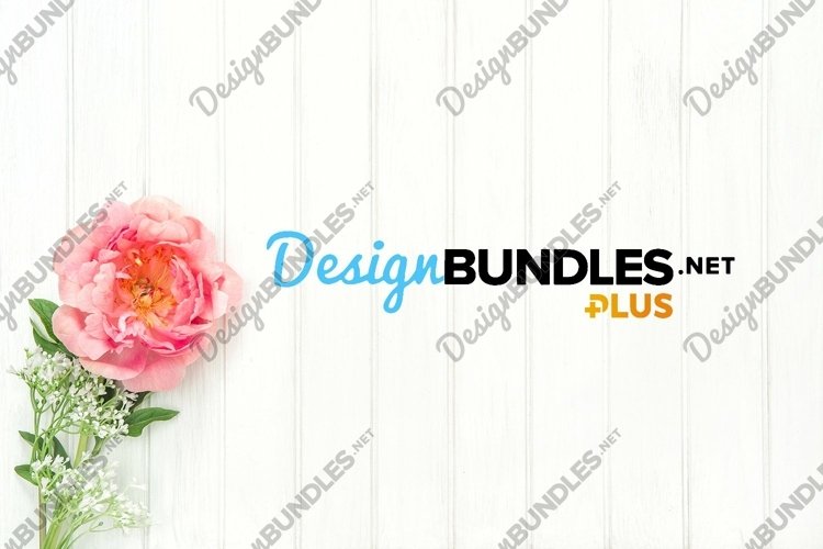 Floral Background Image 15