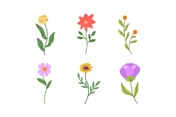 Flower Vector Image 2