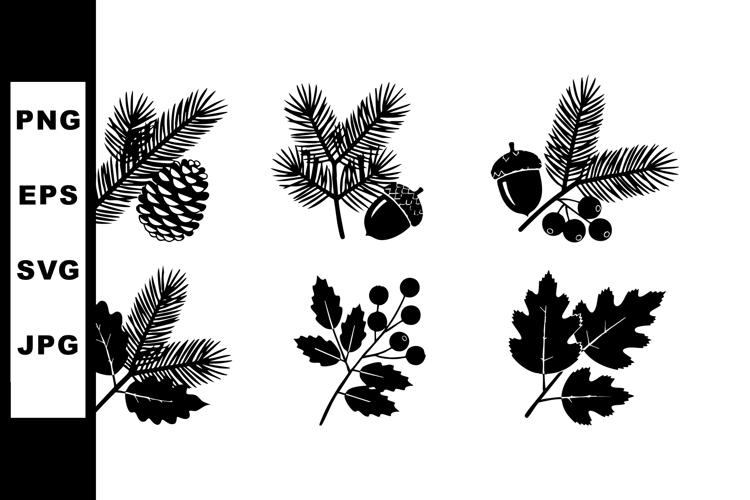 Acorn Vector Image 21