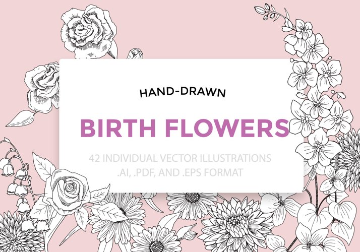 Birth Flowers Vector Illustrations example image 1