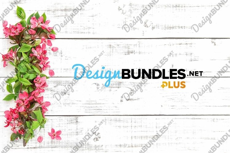 Floral Background Image 5