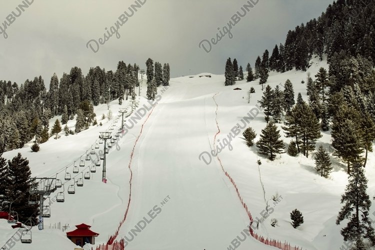 Breathtaking view of the trees on the snow-covered example image 1