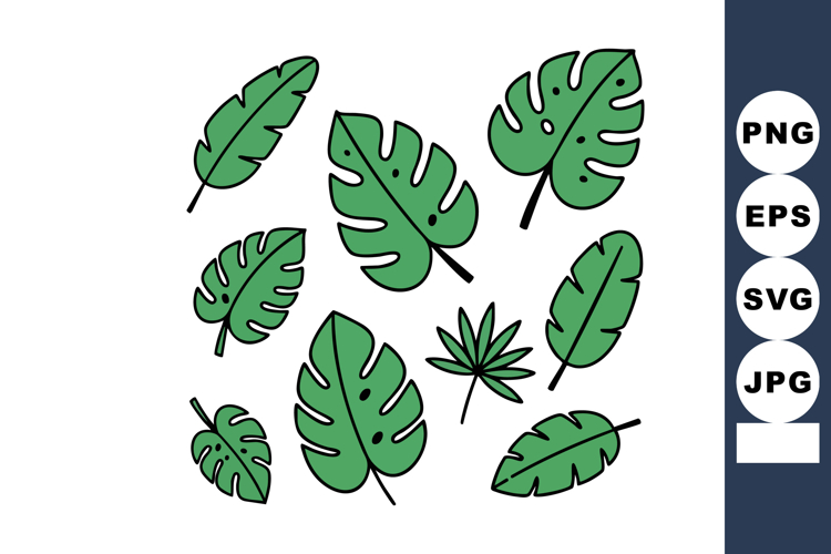 Monstera Clipart Image 2