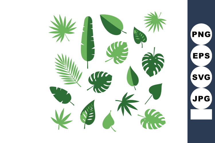Monstera Leaf Clipart Image 9