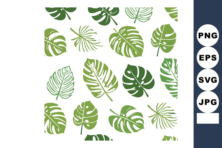 Monstera Clipart Image 4
