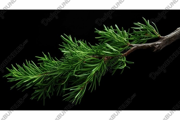 Greenery Clipart Image 23