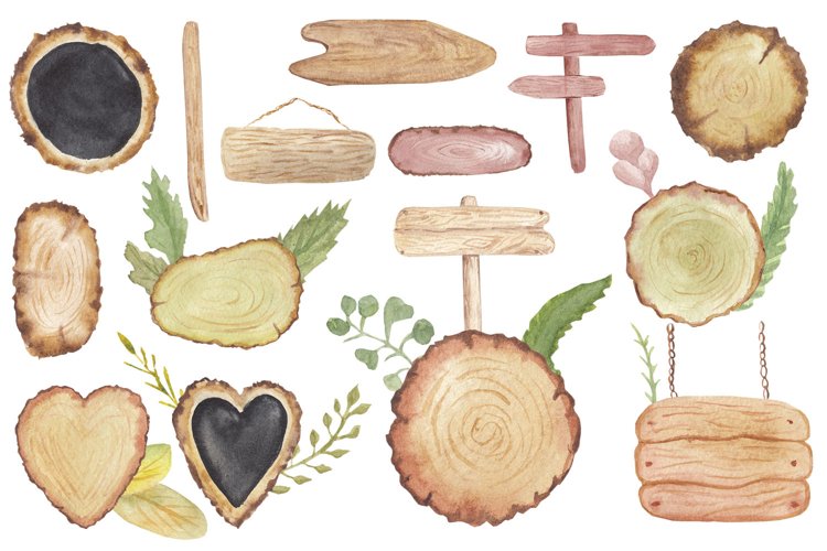 Watercolor Wood Slices Clipart png set, Tree, Green Leaves example image 1