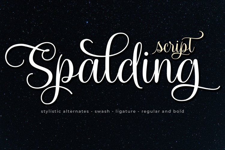 Font Collection Bundle