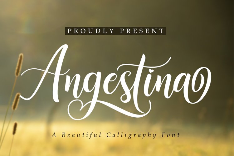 Angestina | A Calligraphy Font example image 1