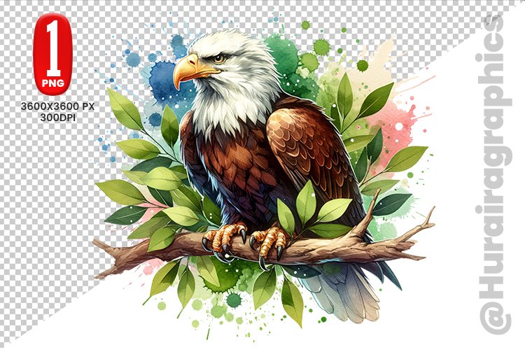 Eagle Clipart Image 17