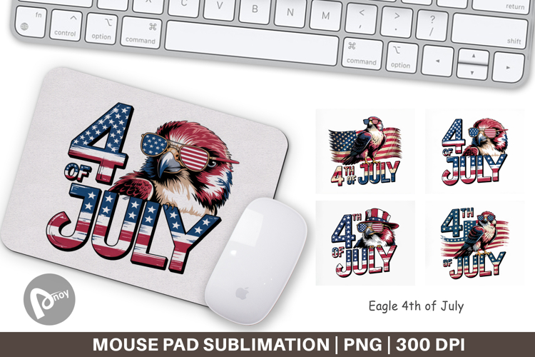 Eagle Clipart Image 17