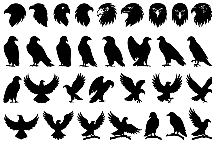 Falcon Svg Image 21