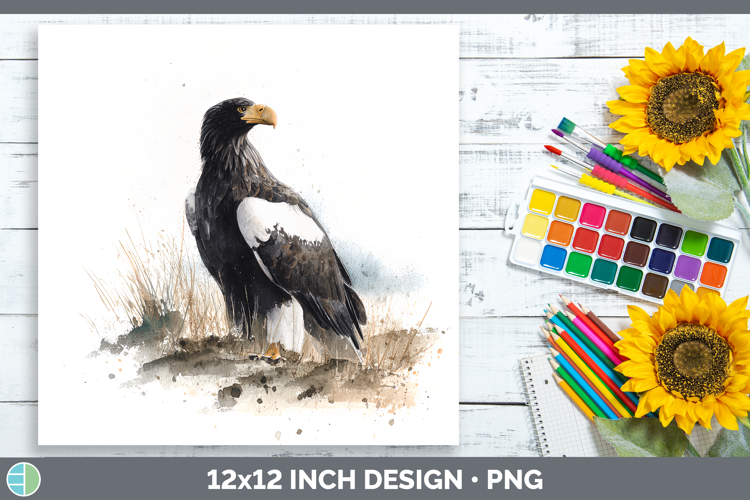 Stellers Sea Eagle Sketch Paper Backgrounds Design