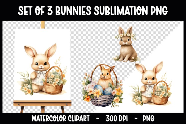 3 Bunny with Flowers Clip Arts I Watercolour PNGs