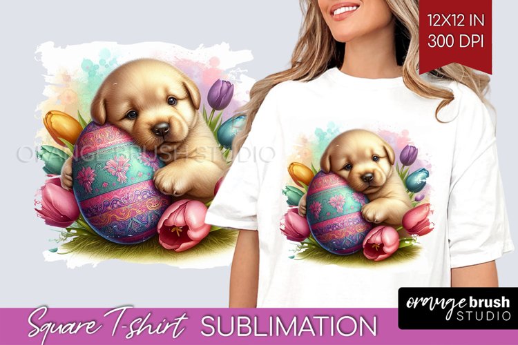 Easter Animals Square Tshirt Background - Bunny Ears PNG