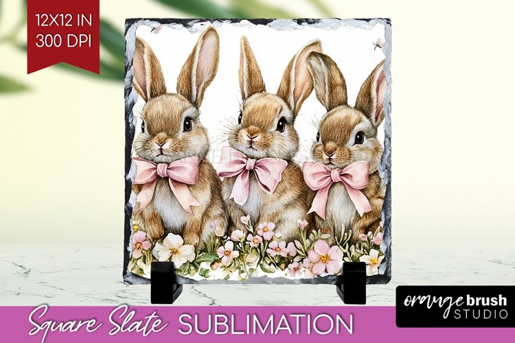 Rabbit Png Image 22