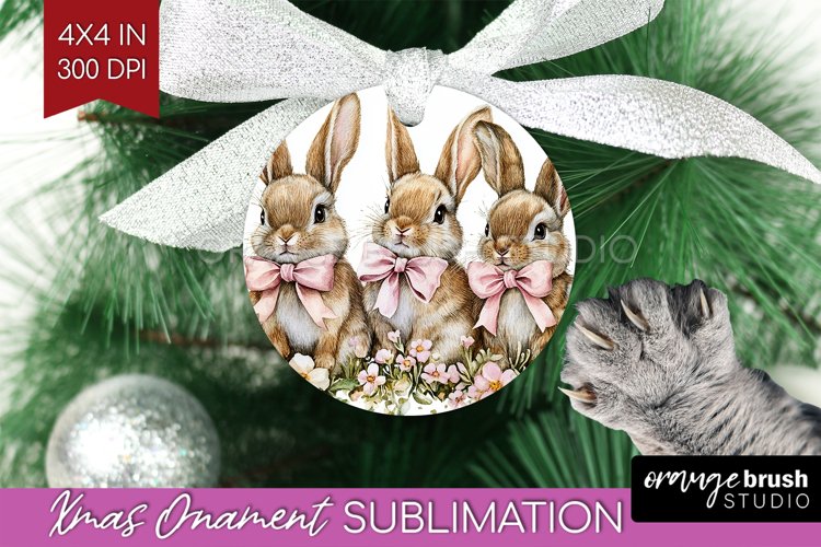 Rabbit Png Image 17
