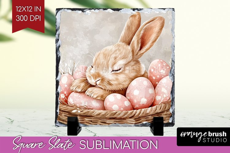 Rabbit Png Image 21