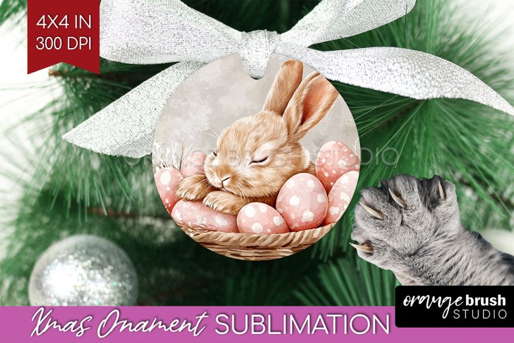 Rabbit Png Image 16