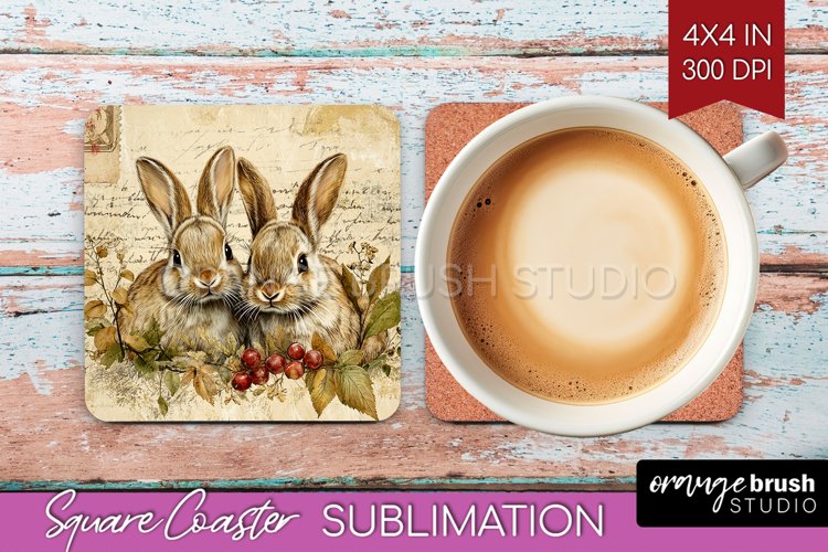 Rabbit Png Image 12