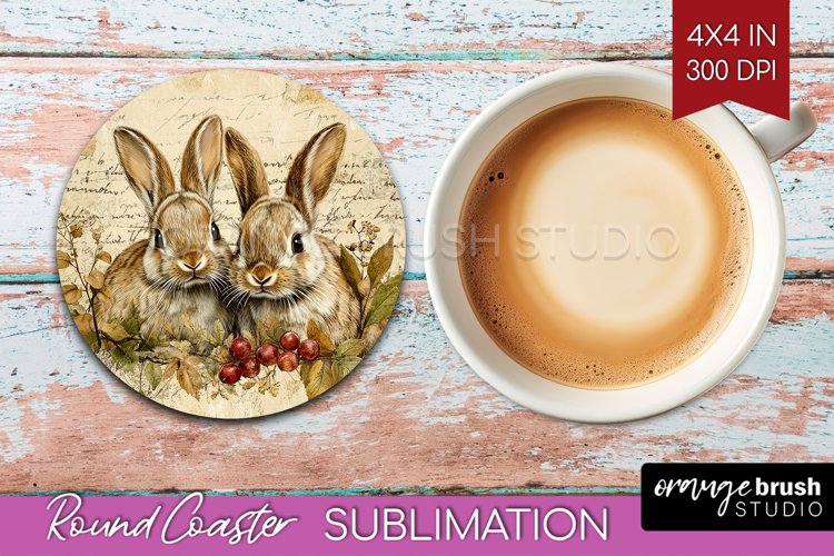 Rabbit Png Image 16