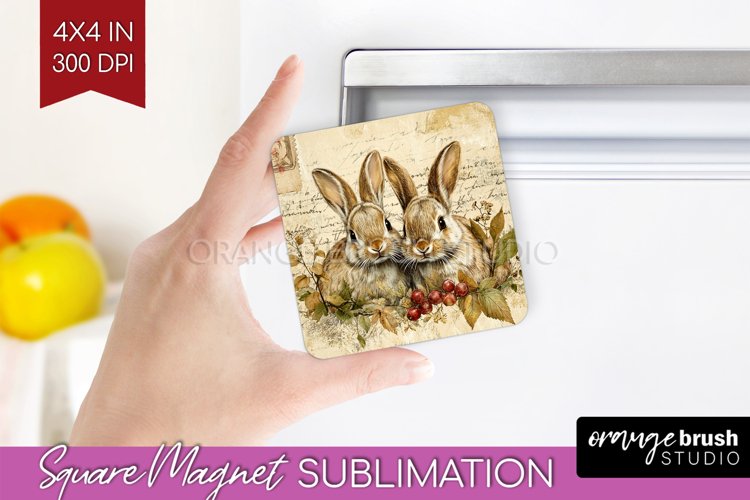 Rabbit Png Image 7