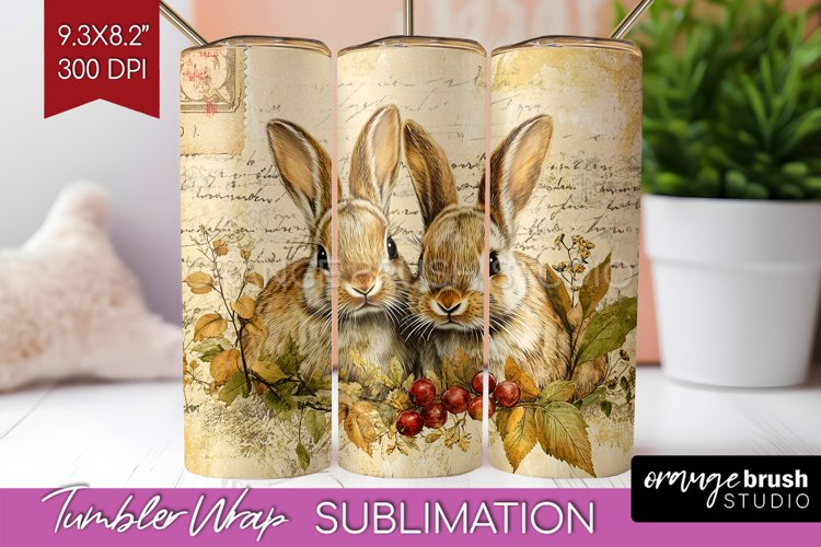 Rabbit Png Image 19