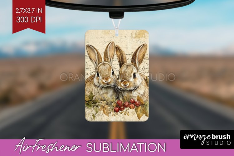 Rabbit Png Image 23
