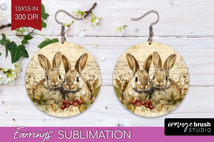 Rabbit Png Image 8