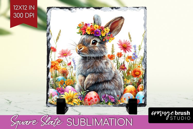 Rabbit Png Image 19