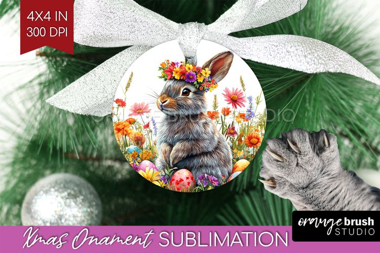 Rabbit Png Image 14