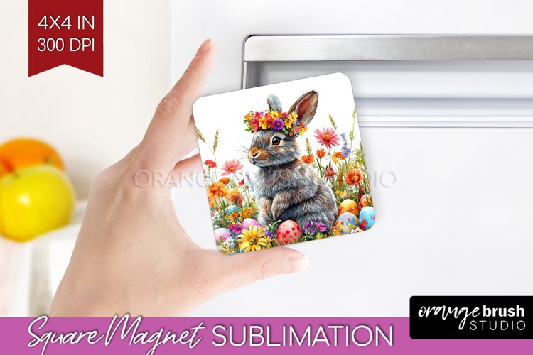 Rabbit Png Image 6
