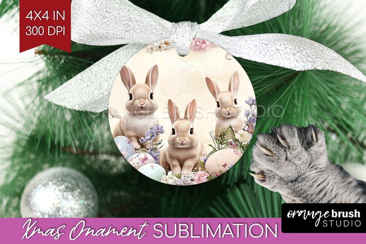 Rabbit Png Image 13