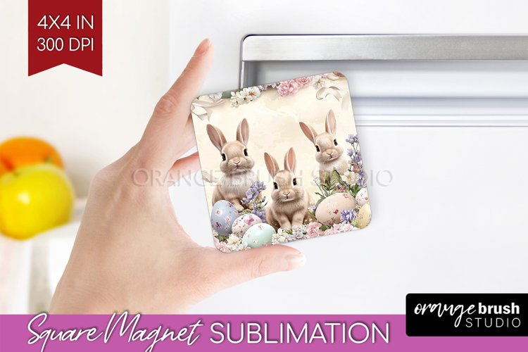 Rabbit Png Image 5